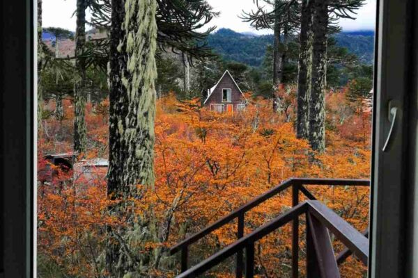vista cabañas sendas conguillío en el parque nacional conguillío en otoño