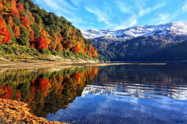 paisaje parque nacional conguillío en otoño